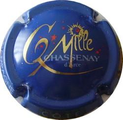CHASSENAY-D'ARCE  An 2000