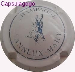 C int 043 tanneux mahy essai