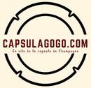 Capsulagogo logo b 2