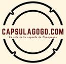 Capsulagogo logo b 2