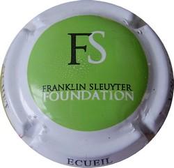 Vincent BROCHET  Fondation  Franklin Sleuyter