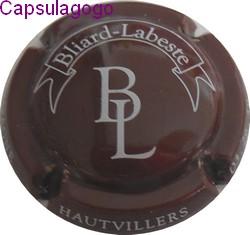 Cb 000 912 bliard labeste