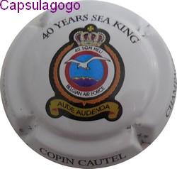 Cc 000 821 copin cautel