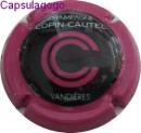 Cc 000 876 copin cautel