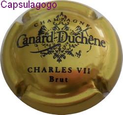 Cc 001 072 canard duchene