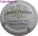 Cc 001 079 canard duchene