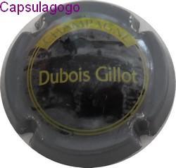Cd 001 143 dubois gillot