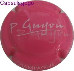 Cg 000 370 guyon p