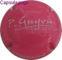 Cg 000 370 guyon p