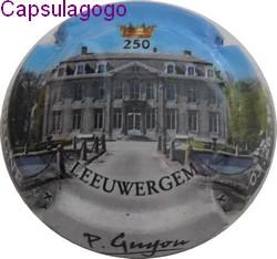 Cg 000 452 guyon p