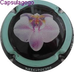 Cm 001 029