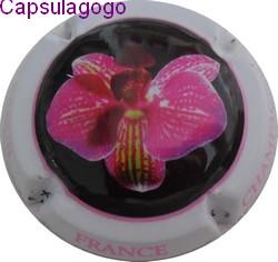 Cm 001 031