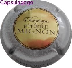 Cm 001 273 pierre mignon