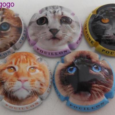 Serie 000 558 pouillon chayoux